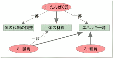 �O��h�{�f�̓���